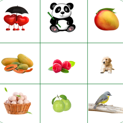 Brain Game. Match The Picture logo