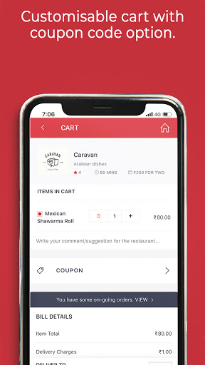 VishApp - Express Food Delivery