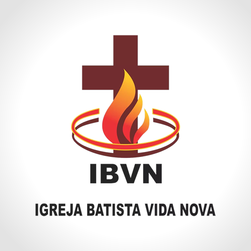 IBVN logo