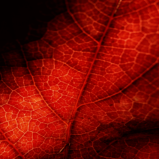 خلفيات حمراء red wallpapers logo