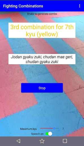 Karate Fighting Combinations P Screen 3