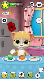 Emma the Cat Virtual Pet Screenshot
