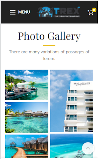 T-Rex Global Tour and Travel