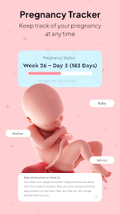 Pregnancy Tracker, Maternity