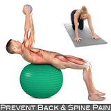 Prevent Back Pain | Core icon