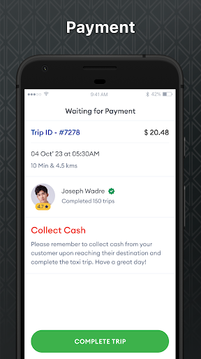 IR Taxi Driver screenshot 5