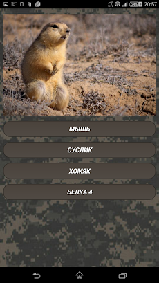 捕食者狩猟はProを呼びます：コヨーテ、キツネ、オオカミの音のおすすめ画像3