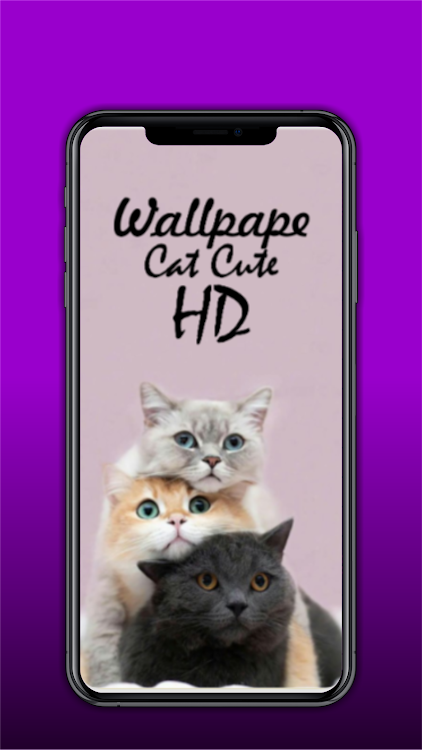 400 Wallpaper Cat Cute HD - 9.2 - (Android)