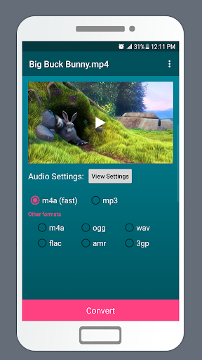 Screenshot of LiteC Video MP3 Audio Extract