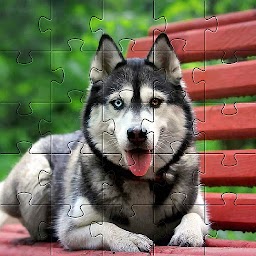 Huskies Dogs Jigsaw Puzzles Free Games 🧩🐕🧩🐾