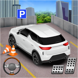 Real Hard Car Parking Games 3D