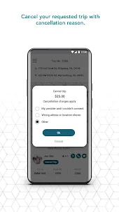 RideCarConnect - Client
