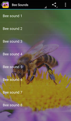 Bee Sounds Screenshot 3 - AppWisp.com