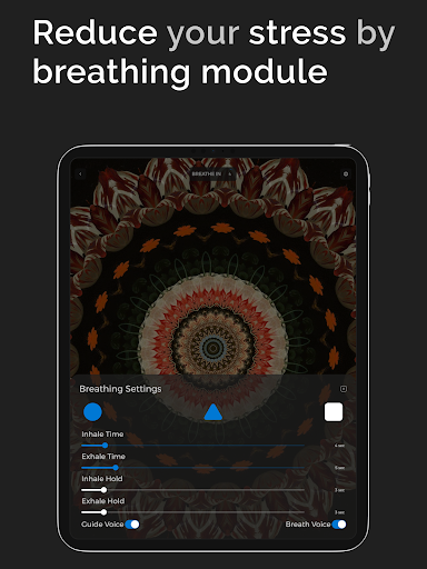 Mistikist Ultimate Brainwaves