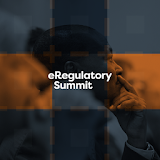 eRegulatory Summit icon