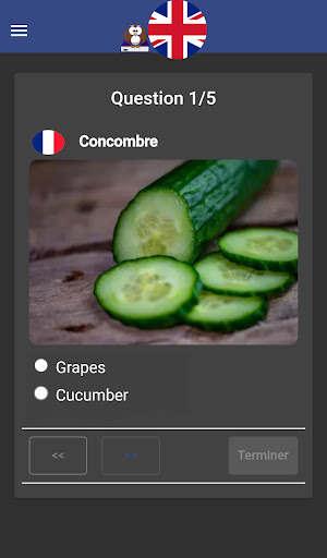 Lexicen ou le lexique anglais Screen 3