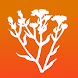 Bachblüten für Kinder PRO - Androidアプリ