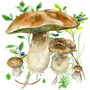 Mushrooms app MOD