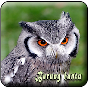 Top 39 Music & Audio Apps Like Suara Burung Hantu MP3 - Best Alternatives