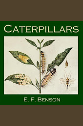 Icon image Caterpillars