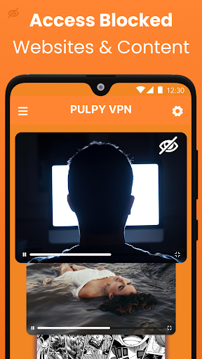 Pulpy VPN - Secure VPN Proxy Screen 3