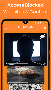 Pulpy VPN - Secure VPN Proxy