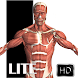 Visual Anatomy Lite - Androidアプリ