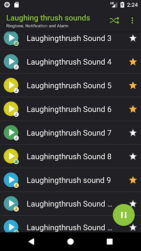 Laughing thrush sounds Screen 2