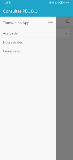 Consultas PEC B.O. Screen 2