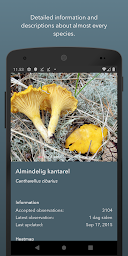Atlas of Danish Fungi