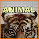 Coloring Gallery Animal By Number - Free Download on Windows