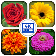 Top 30 Personalization Apps Like HD Flower Wallpaper - Best Alternatives