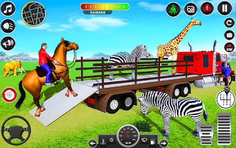 Animal Transports Truck Games