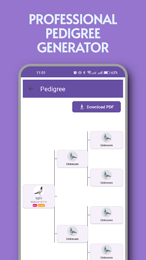 PigeonProfile - Loft Manager