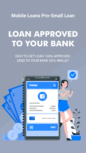 Loan Express EMI Guide