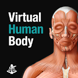 Virtual Human Body icon