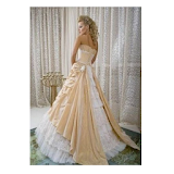 Unique  Wedding Dress Design icon