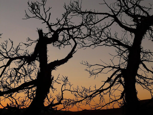 Wallpaper Oscuro ♡