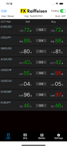 FX Raiffeisen Screen 2