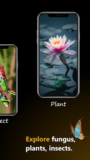 Plant, Bug, Fungus -Identifier Screen 2