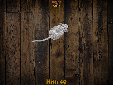 Mouse app 2024 for cats