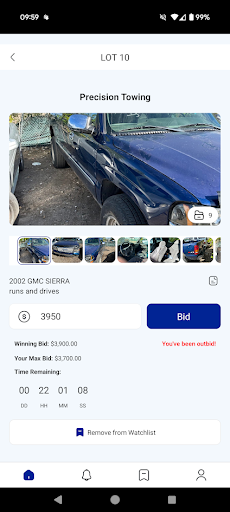 Peak Auto Auctions