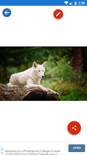 Arctic Wolf, Wolf Wallpapers 1.0.7 APK screenshots 2