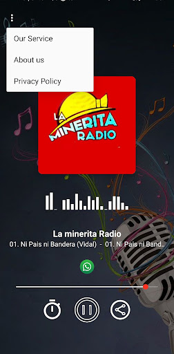 La minerita Radio Screen 2
