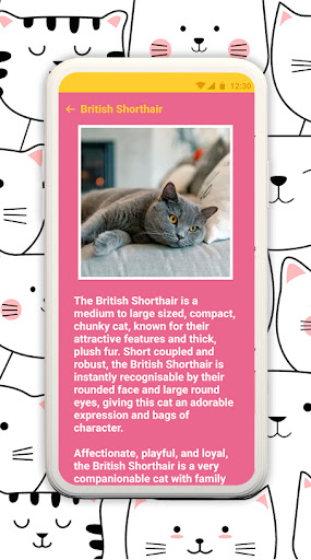 Popular cat breeds Screen 2