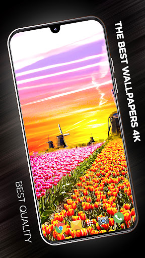 Android application Spring Wallpapers in 4K screenshort