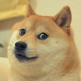 Doge Spin icon
