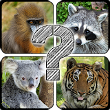 Guess The Animals: Quiz icon