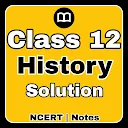 12th Class History Notes &amp; MCQ