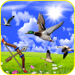 Bird Hunting